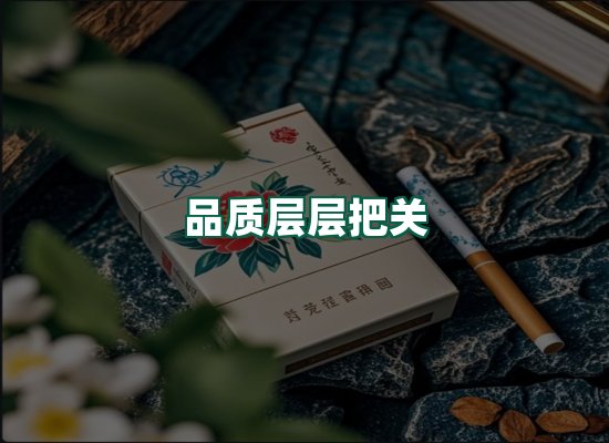 核心优势